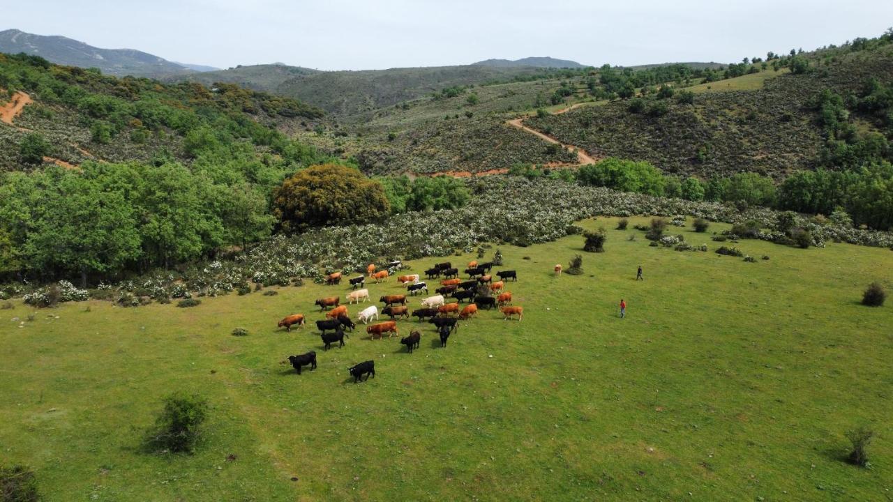 Appartamento Refugios Del Valle Negro *